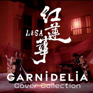 陆小莹阿庆的小说最新
