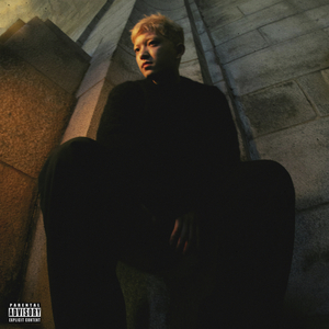 陆小莹阿庆的小说最新
