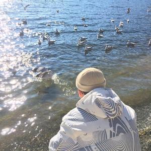 陆小莹阿庆的小说最新
